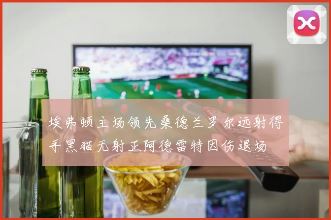 埃弗顿主场领先桑德兰罗尔远射得手黑猫无射正阿德雷特因伤退场