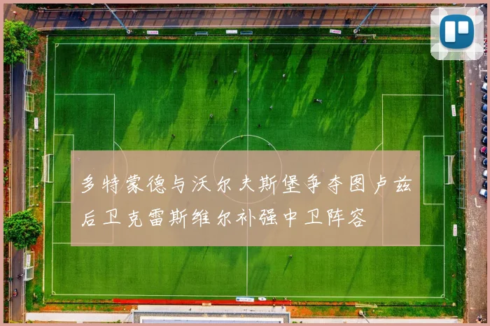 多特蒙德与沃尔夫斯堡争夺图卢兹后卫克雷斯维尔补强中卫阵容