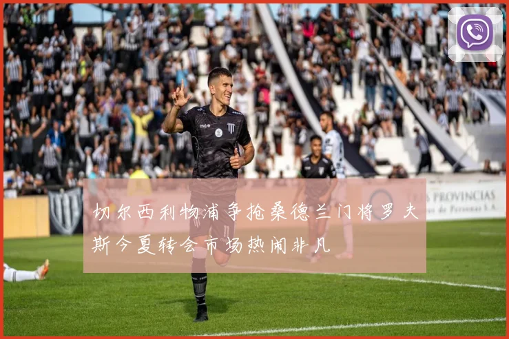 切尔西利物浦争抢桑德兰门将罗夫斯今夏转会市场热闹非凡