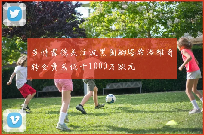 多特蒙德关注波黑国脚塔希洛维奇转会费或低于1000万欧元